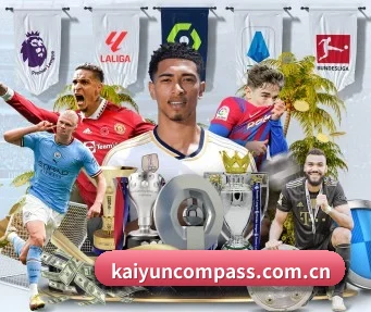 kaiyun APP